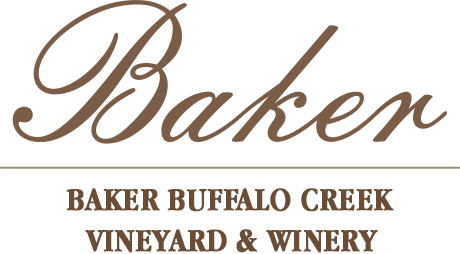 Baker Buffalo Creek Vineyard || North Carolina